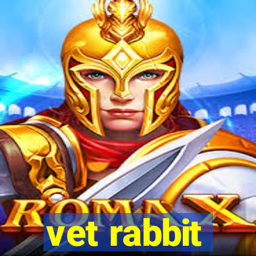 vet rabbit